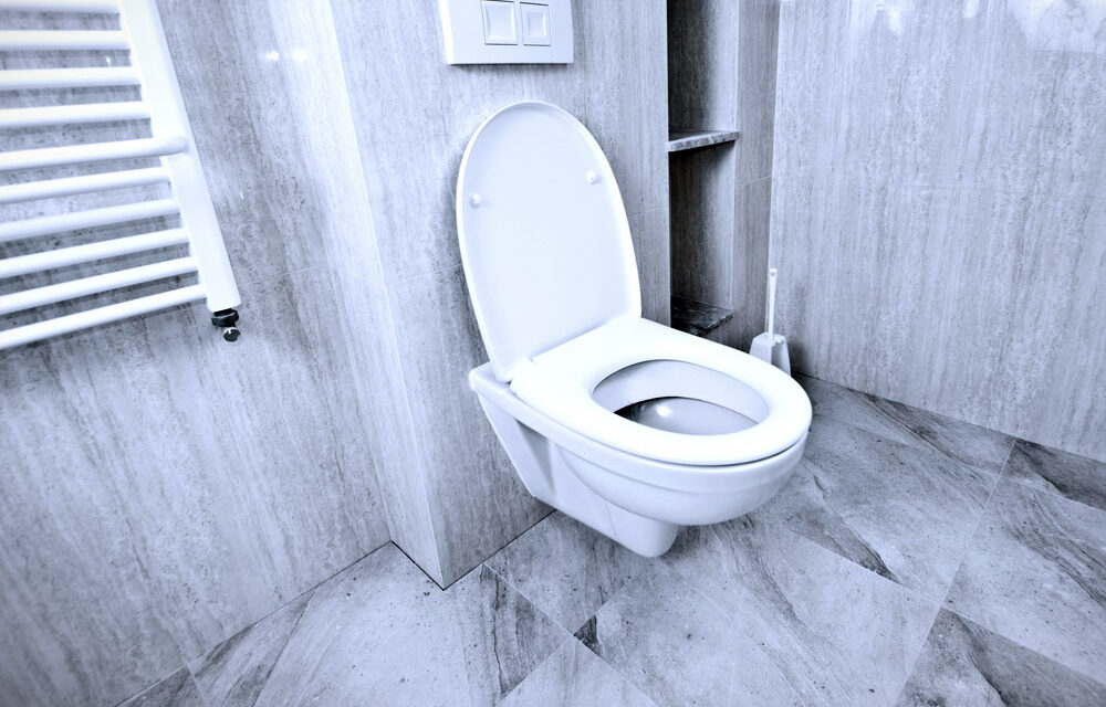 Ranking misek WC podwieszanych 2023