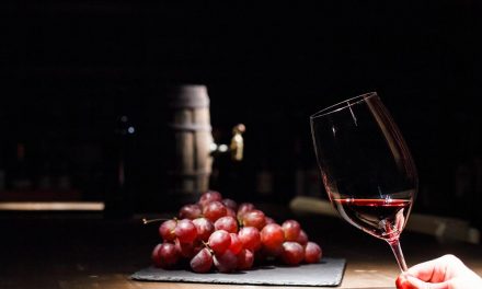 Ranking chłodziarek do wina 2022