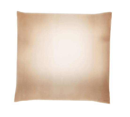 Poszewka Na Poduszkę Easy Livin Wykonana Ze Jedwabiu Złota 40cm X 1 Szt