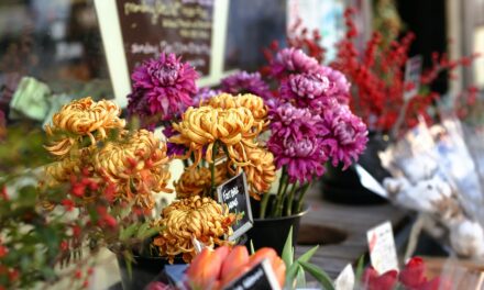 Kwiaciarnia internetowa a kwiaciarnia tradycyjna: Zalety i wady obu rozwiązań