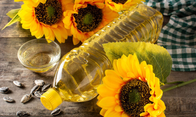 Ranking olejów słonecznikowych 2026