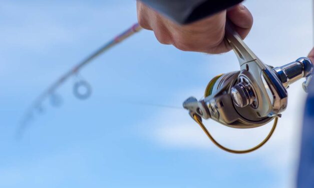 Ranking wędek feeder 2026