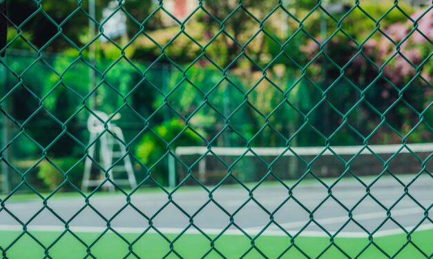 Ranking siatek ogrodzeniowych 2026