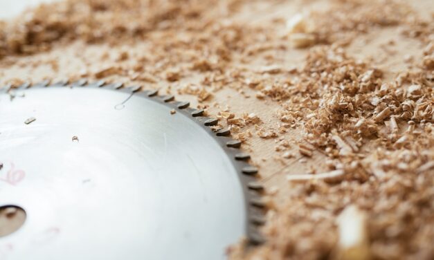 Ranking tarcz do cięcia drewna 2026