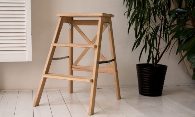 Ranking drabin domowych 2026