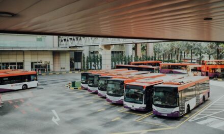 Praca jako kierowca autobusu w Holandii – co trzeba wiedzieć przed podjęciem decyzji?