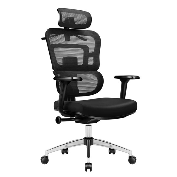 Ergohuman 2 Elite